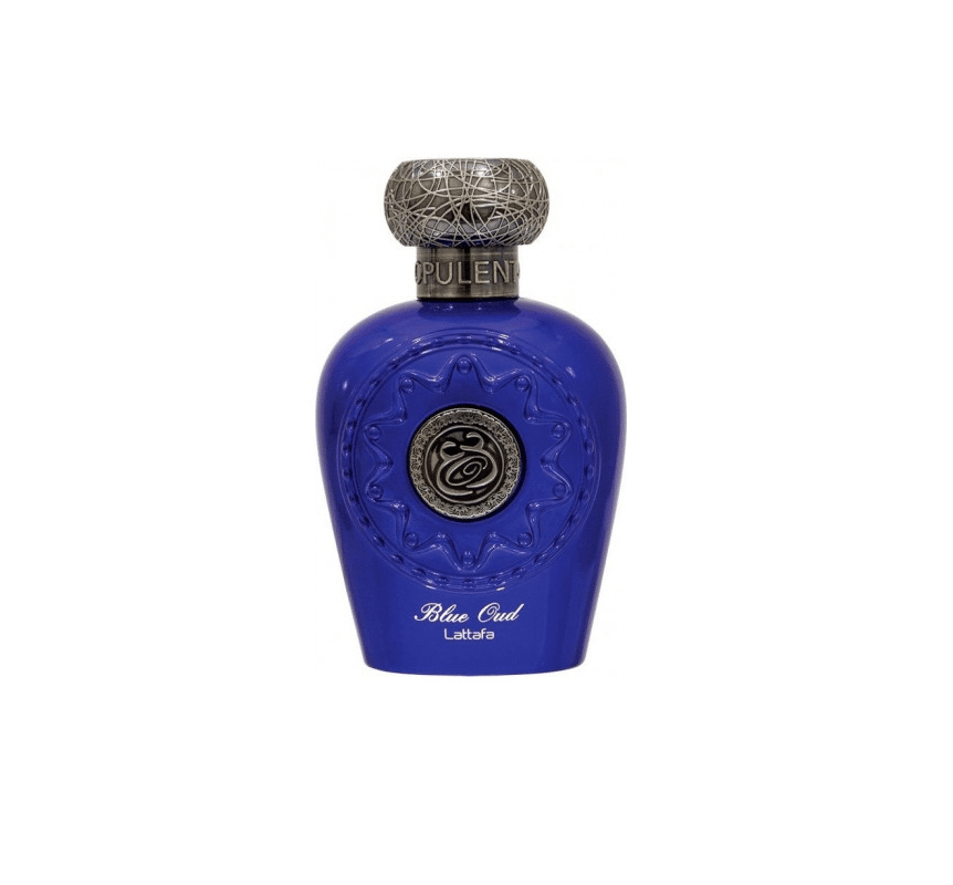BLUE OUD 100ML EDP