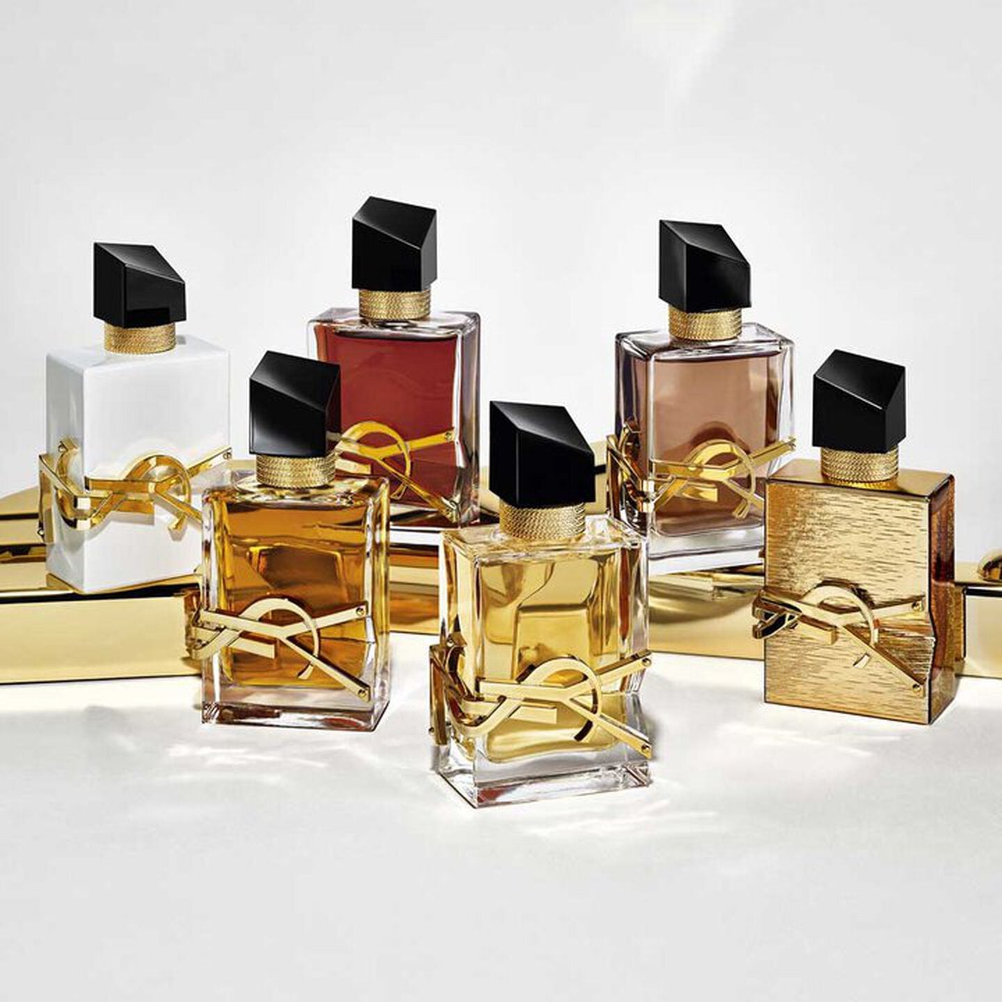 Collection of perfume bottles with gold and black designs on a white background