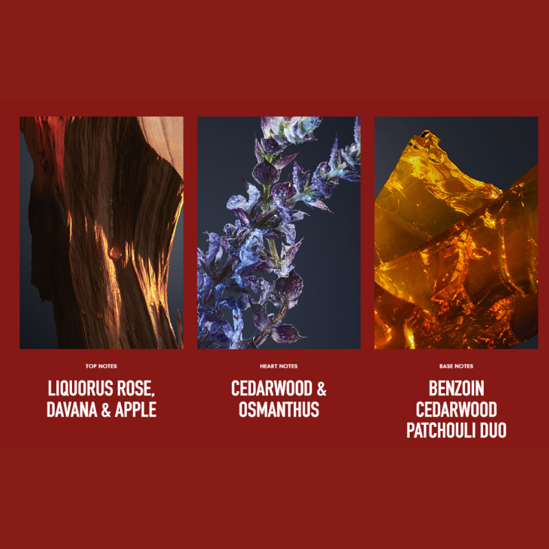 1 Million royal parfum perfume notes