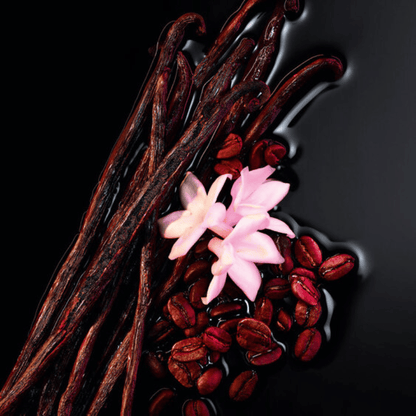 BLACK OPIUM LE PARFUM