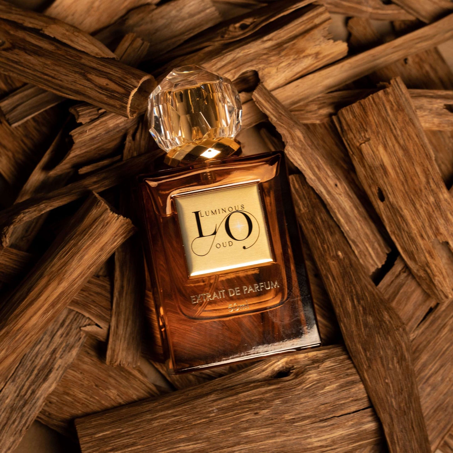 Luminous Oud