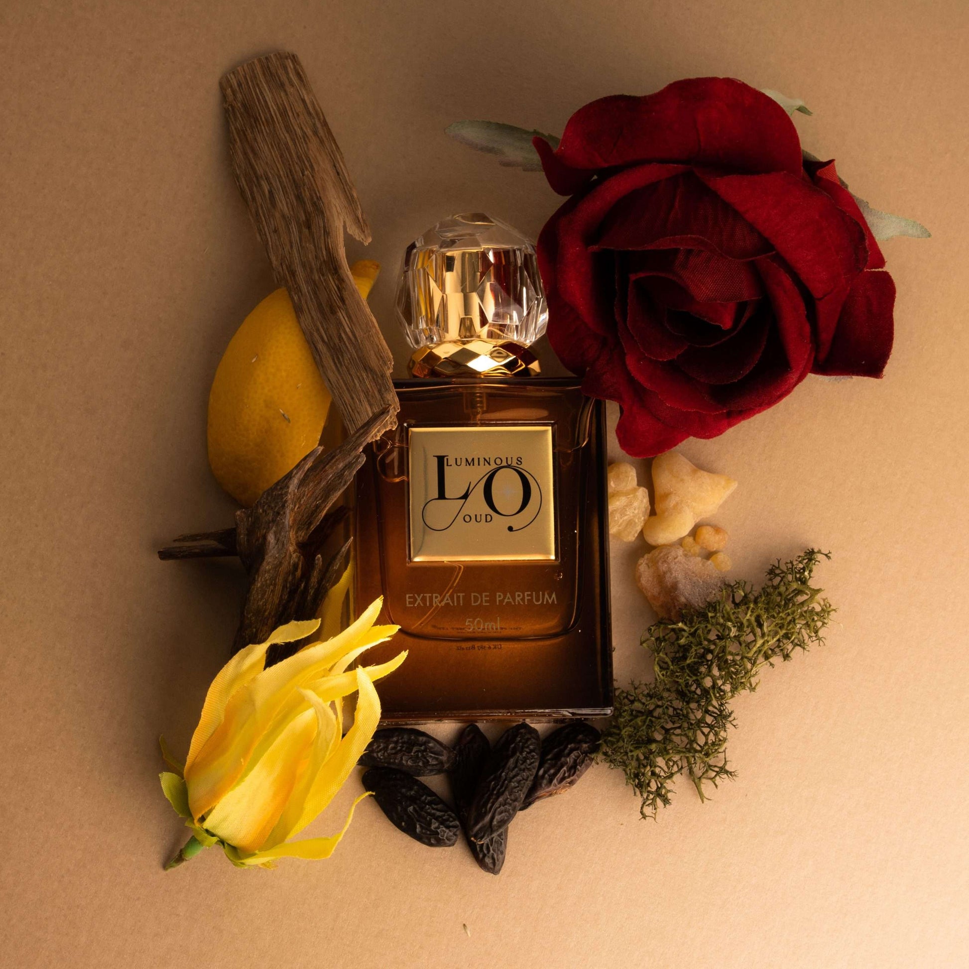 luminous oud 1