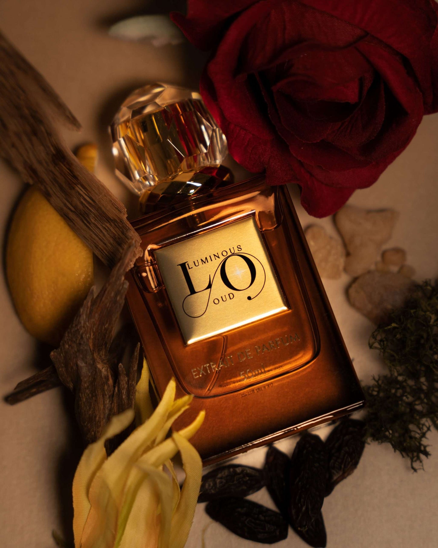 Luminous Oud