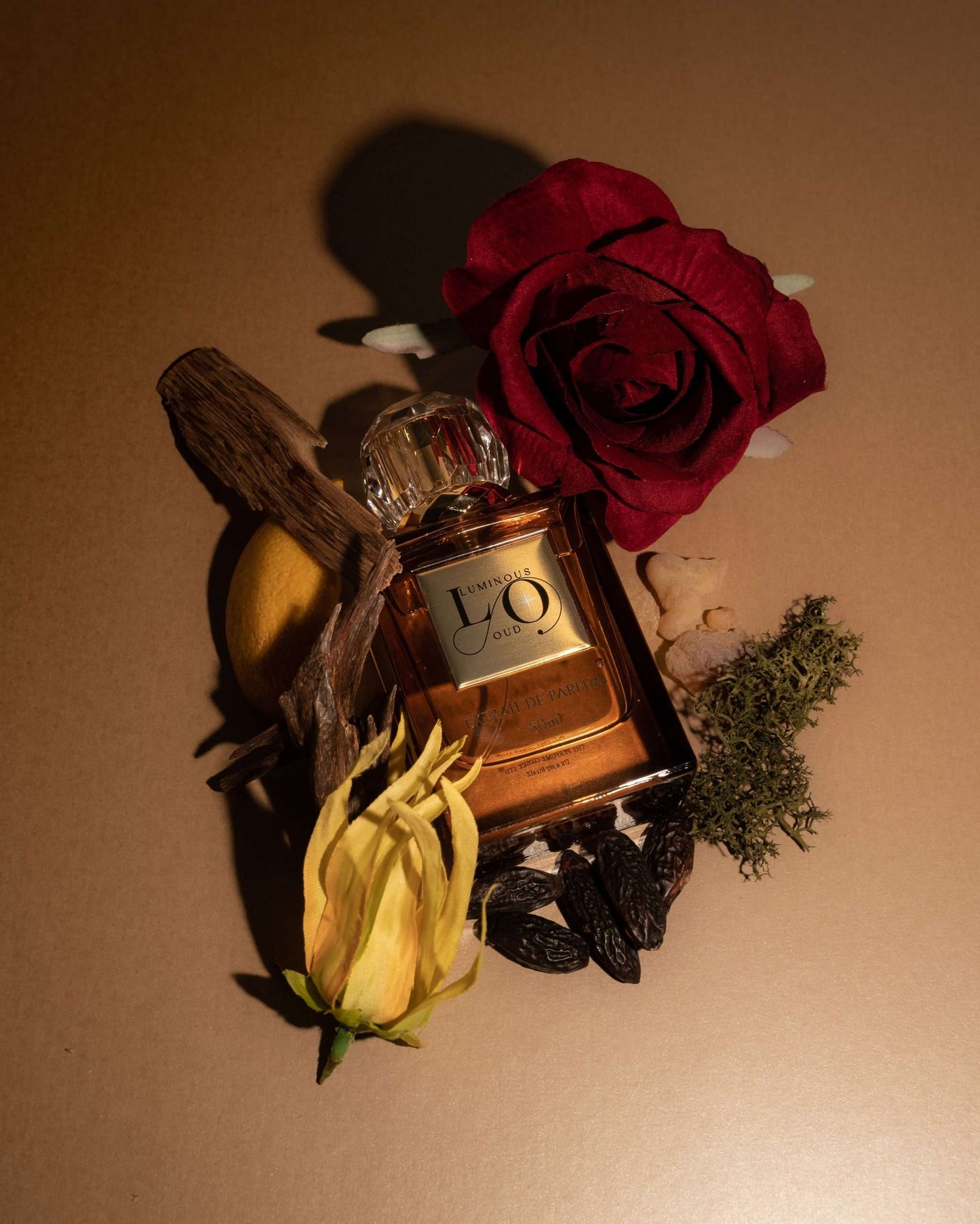 Luminous Oud