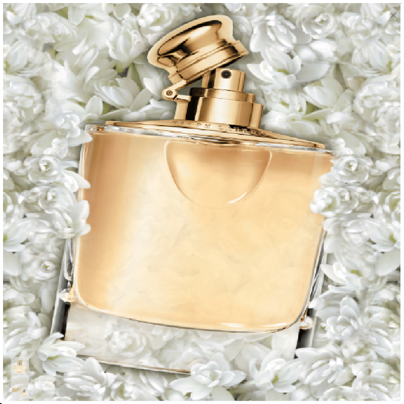 RALPH LAUREN WOMAN EDP