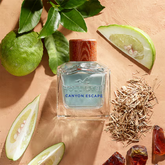 HOLLISTER CANYON ESCAPE FOR HIM 100ML EDT