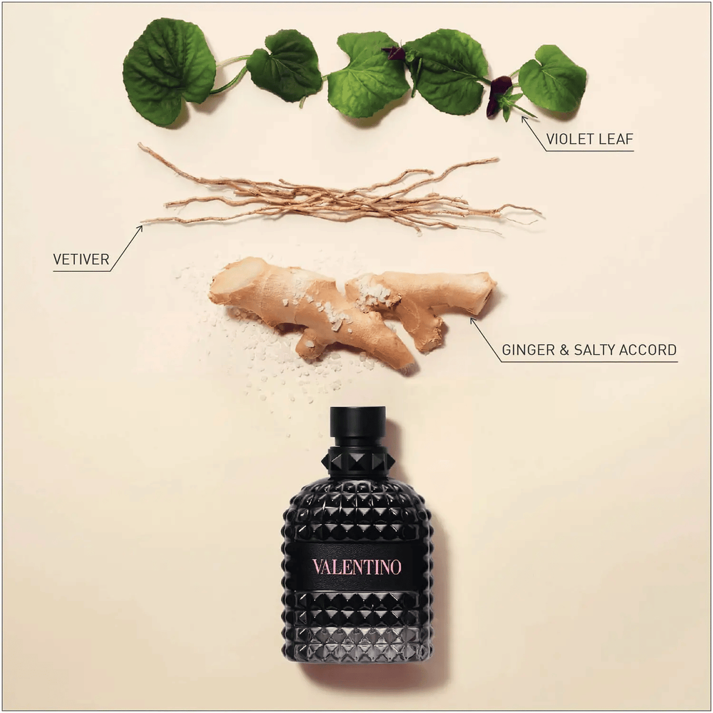 VALENTINO BORN IN ROMA FOR MEN INGREDIENTS