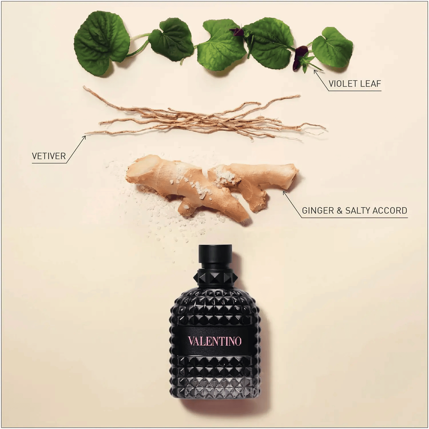 VALENTINO BORN IN ROMA FOR MEN INGREDIENTS