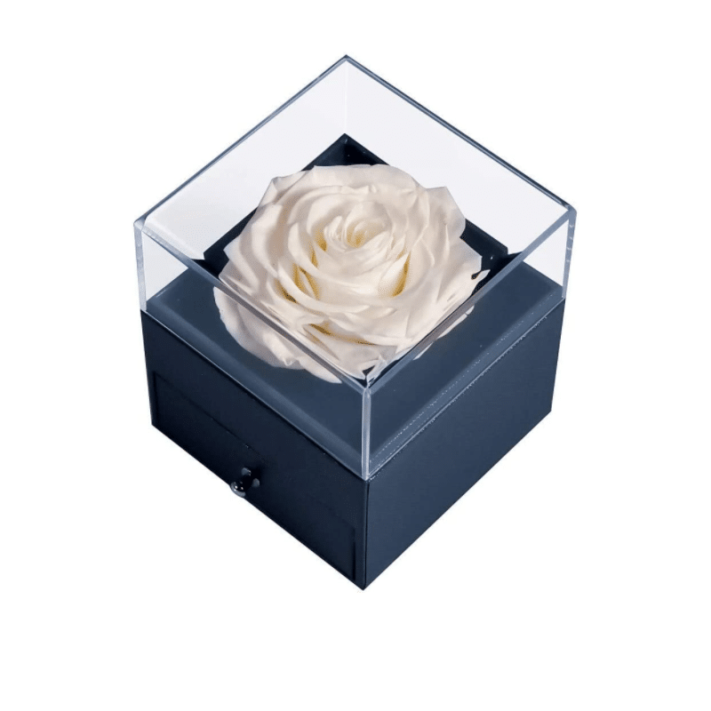 ETERNAL ROSES